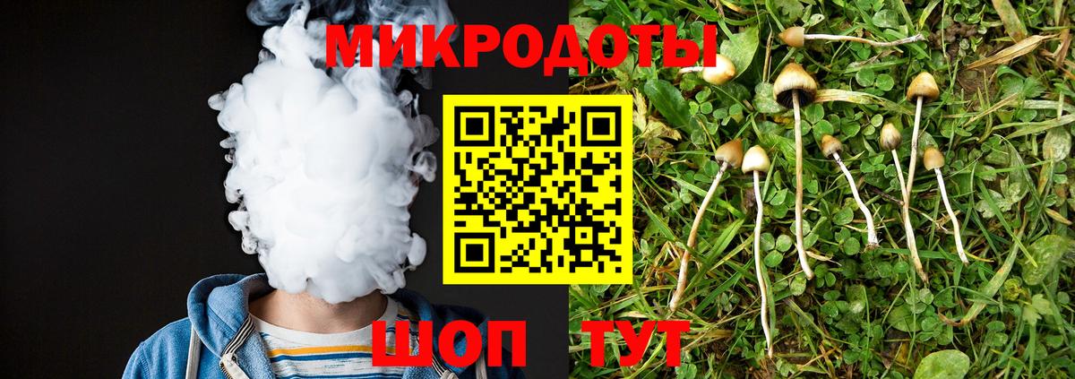 Вологда  Галлюциногенные грибы MAGIC MUSHROOMS  Вход с VPN  как найти закладки  Галлюциногенные грибы GOLDEN TEACHER 